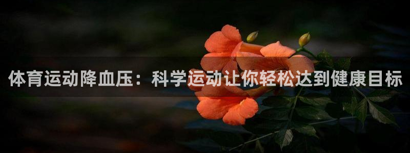 vsport体育：体育运动降血压：科学运动让你轻松达到健康目标