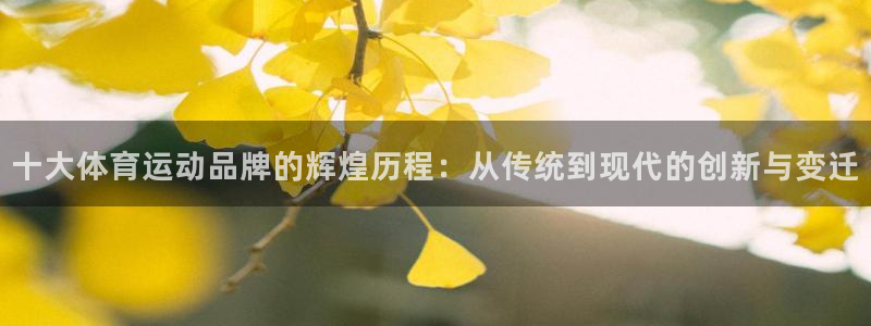 vsport体育在线官网