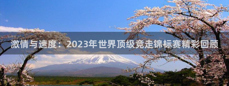 vsport体育在线官网：激情与速度：2023年世界顶级竞走锦标赛精彩回顾