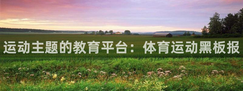 vsport体育在线官网：运动主题的教育平台：体育运动黑板报
