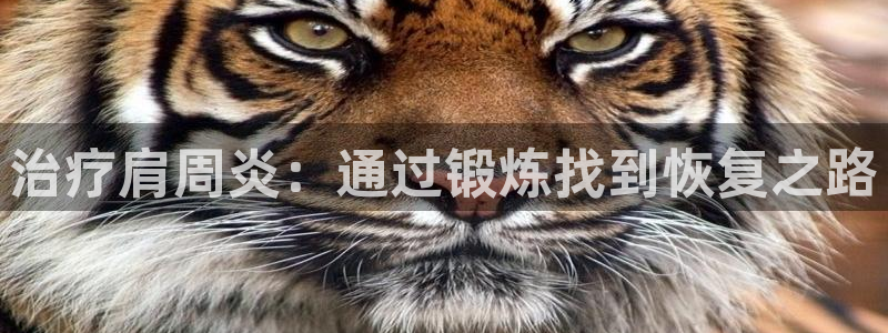 vsport体育：治疗肩周炎：通过锻炼找到恢复之路