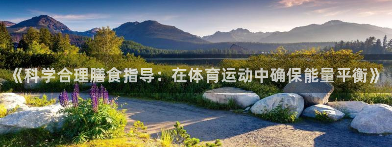 vsport体育在线官网：《科学合理膳食指导：在体育运动中确保能量平衡》