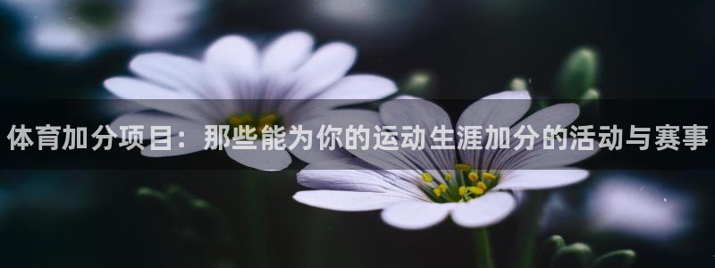 vsport体育：体育加分项目：那些能为你的运动生涯加分的活动与赛事