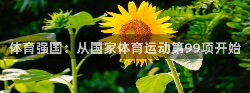 vsport体育：体育强国：从国家体育运动第99项开始