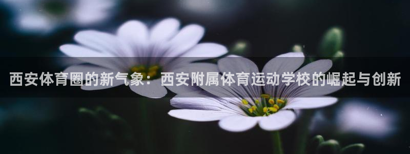 vsport体育：西安体育圈的新气象：西安附属体育运动学校的崛起与创新