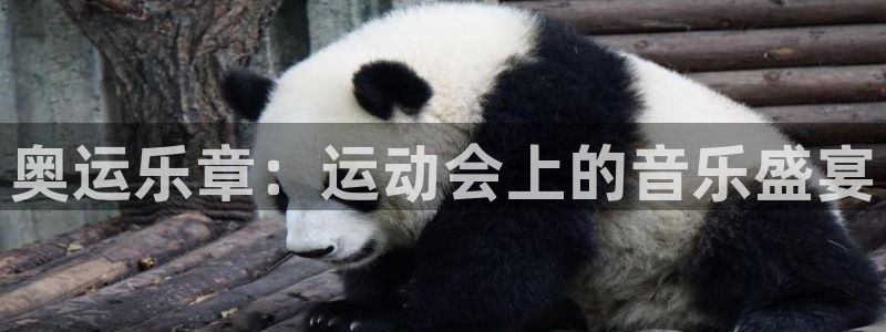 vsport体育在线官网：奥运乐章：运动会上的音乐盛宴