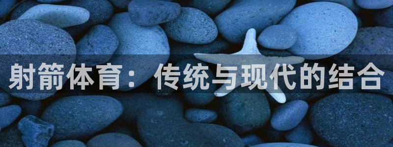 vsport体育在线官网：射箭体育：传统与现代的结合