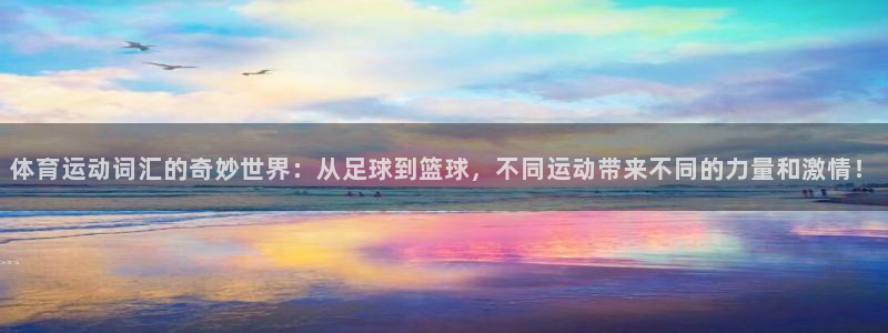 vsport体育在线官网：体育运动词汇的奇妙世界：从足球到篮球，不同运动带来不同的力量和激情！