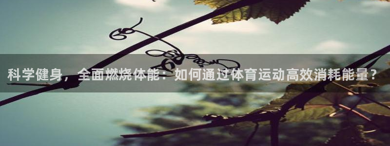 vsport体育：科学健身，全面燃烧体能：如何通过体育运动高效消耗能量？