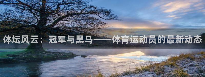 vsport体育：体坛风云：冠军与黑马——体育运动员的最新动态