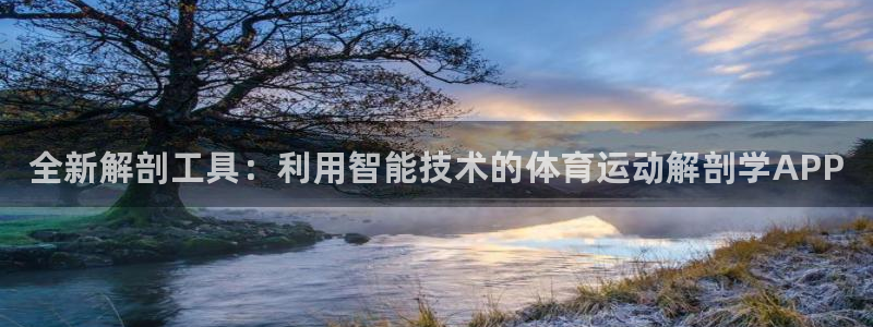vsport体育在线官网：全新解剖工具：利用智能技术的体育运动解剖学APP