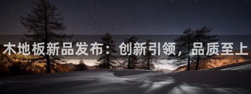 vsport体育在线官网：木地板新品发布：创新引领，品质至上