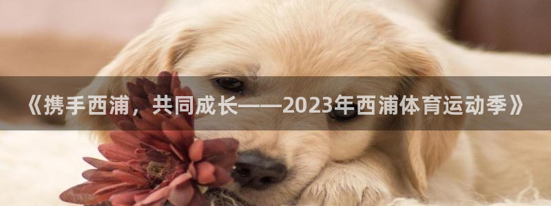 vsport体育在线官网：《携手西浦，共同成长——2023年西浦体育运动季》