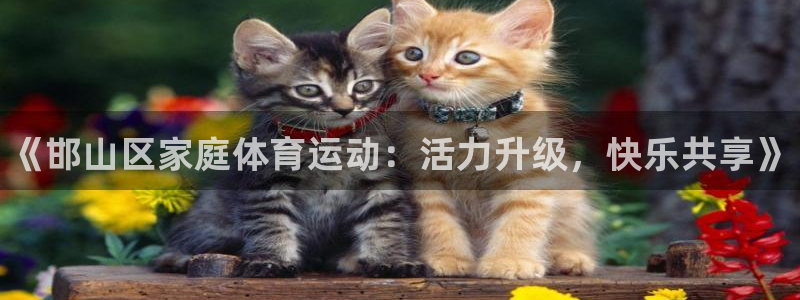 vsport体育在线官网：《邯山区家庭体育运动：活力升级，快乐共享》
