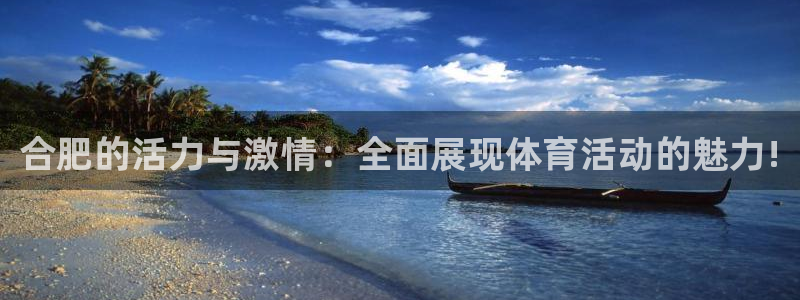 vsport体育在线官网：合肥的活力与激情：全面展现体育活动的魅力!