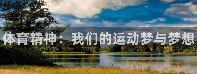 vsport体育在线官网：体育精神：我们的运动梦与梦想