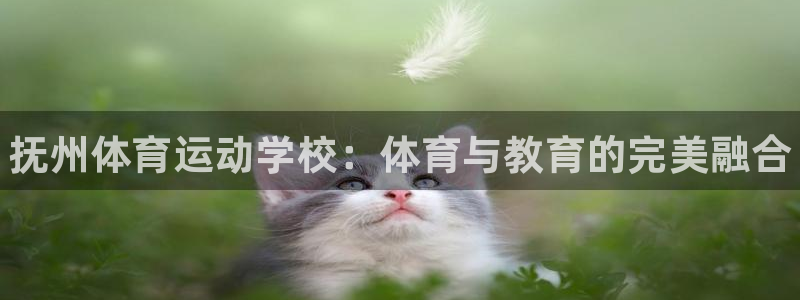 vsport体育在线官网：抚州体育运动学校：体育与教育的完美融合