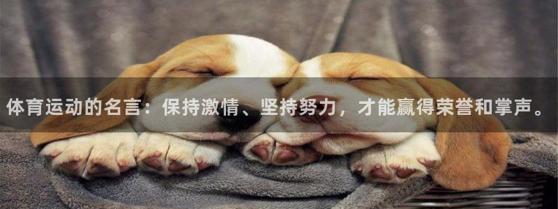 vsport体育在线官网
