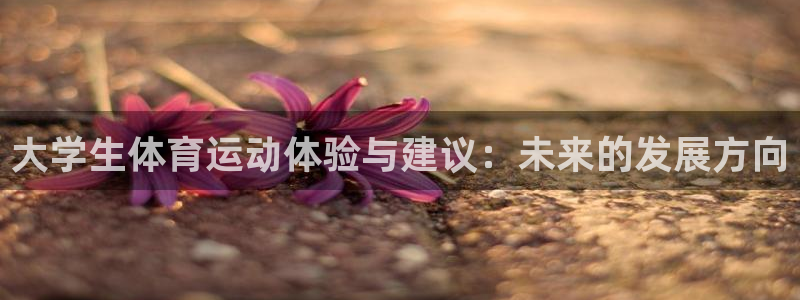 vsport体育在线官网