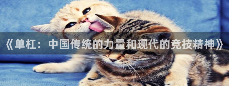 vsport体育