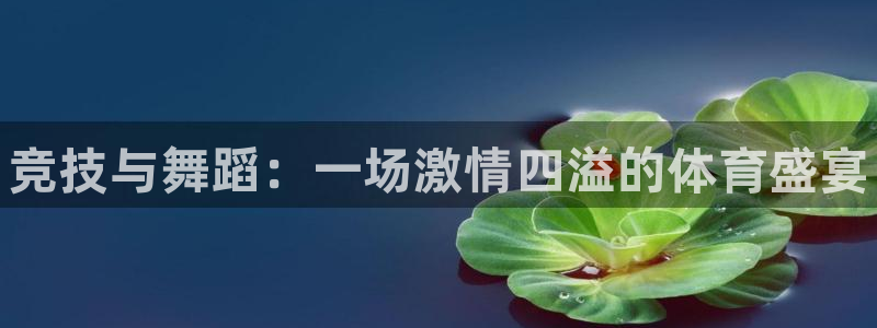 vsport体育在线官网