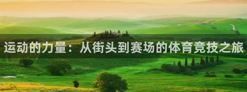 vsport体育在线官网：运动的力量：从街头到赛场的体育竞技之旅